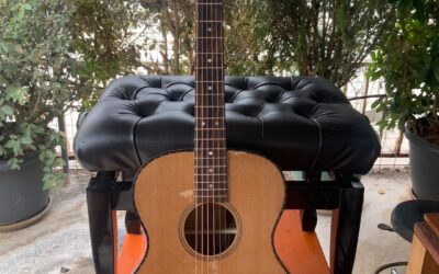 Acoustic guitar 00 style – Ziricote back and sides